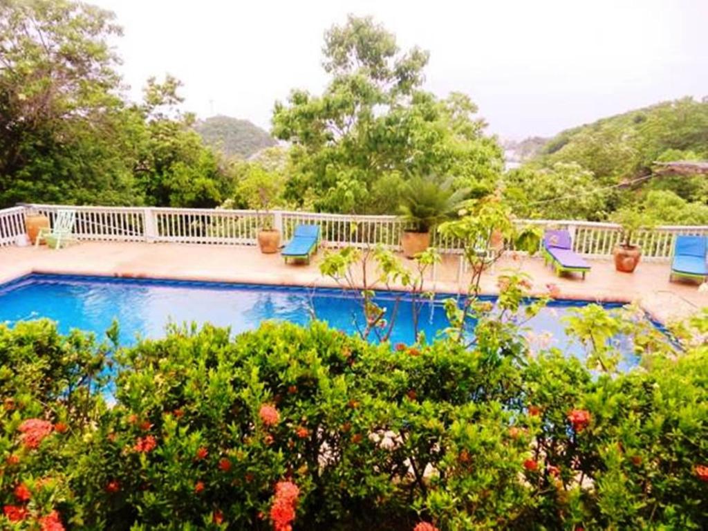una piscina con sedie blu e alcune piante di La Buena Vista a Puerto Ángel