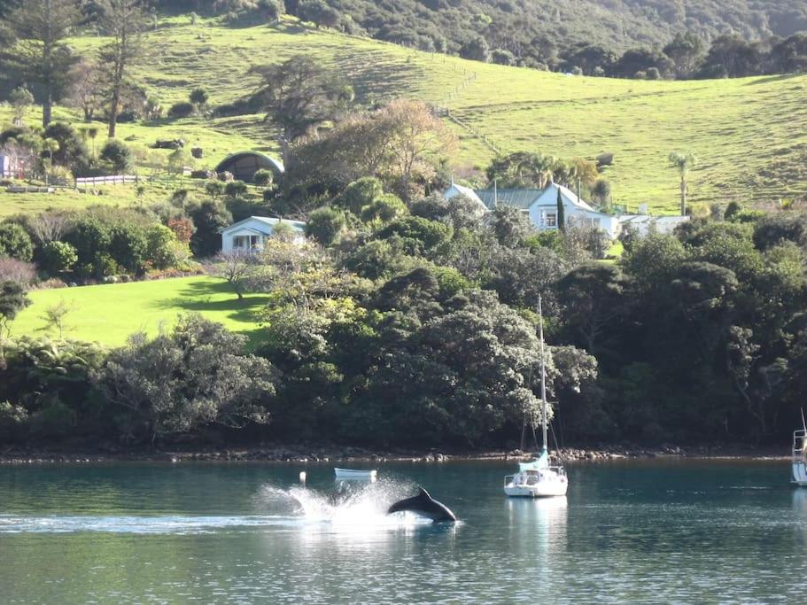 um barco e uma baleia na água em Glenfern Sanctuary em Port Fitzroy