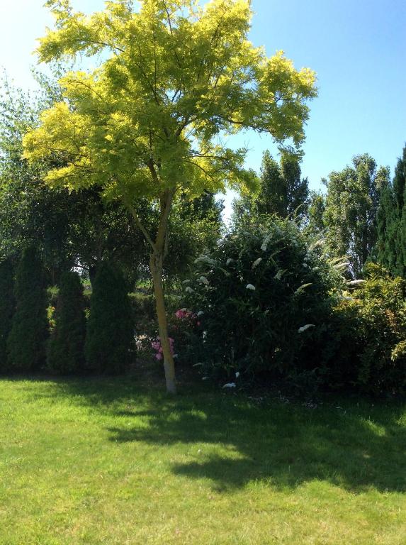 Zahrada ubytování Domaine de la Barbinais