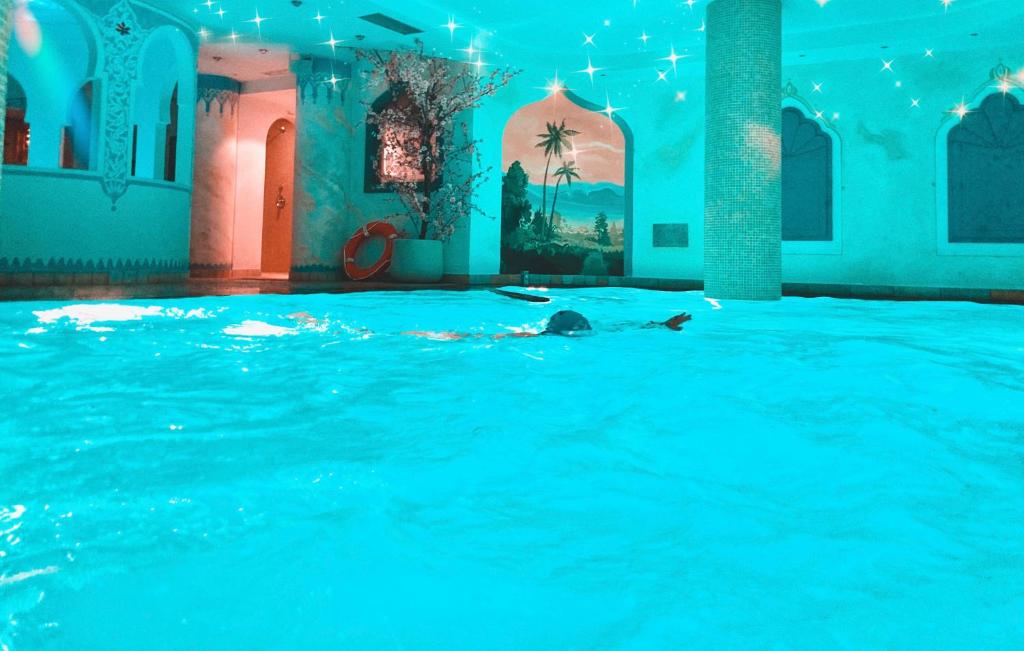 Bazén v ubytování Hotel Alba Wellness & Spa nebo v jeho okolí