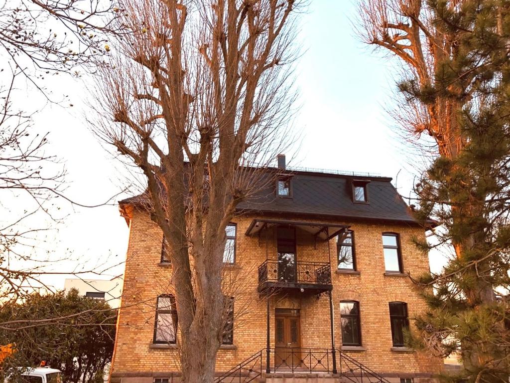 una grande casa in mattoni con un albero di fronte di Domaine Séquoia a Stutzheim