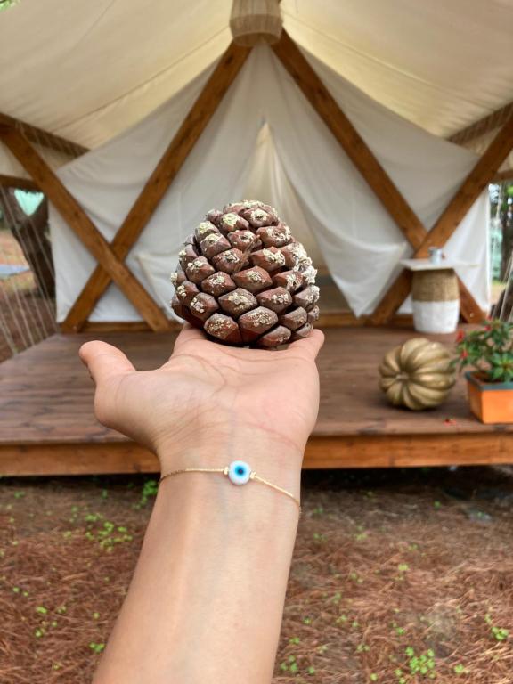 Fotografie z fotogalerie ubytování Kabaceira Glamping v destinaci Atalaia
