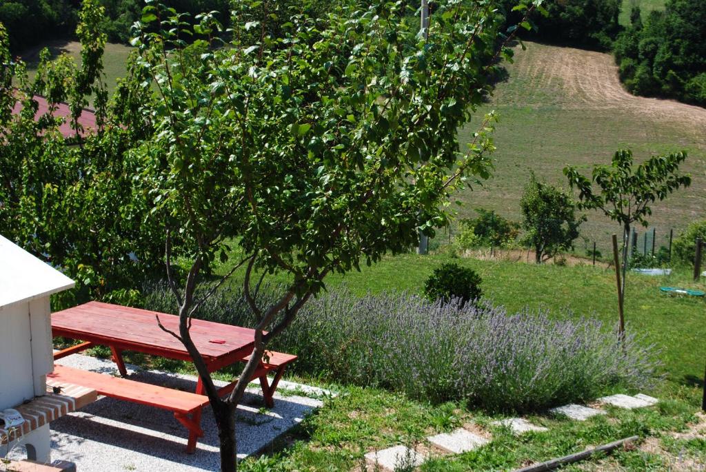 Zahrada ubytování Agriturismo B&B La Cerasa