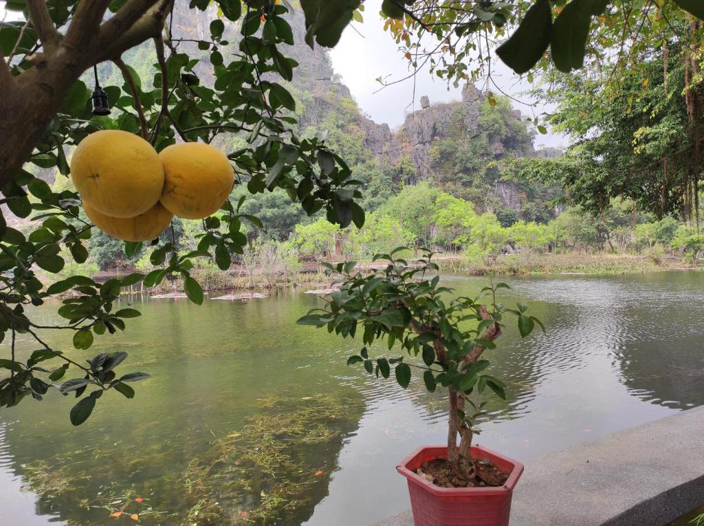 Tam Coc Bungalow - 5