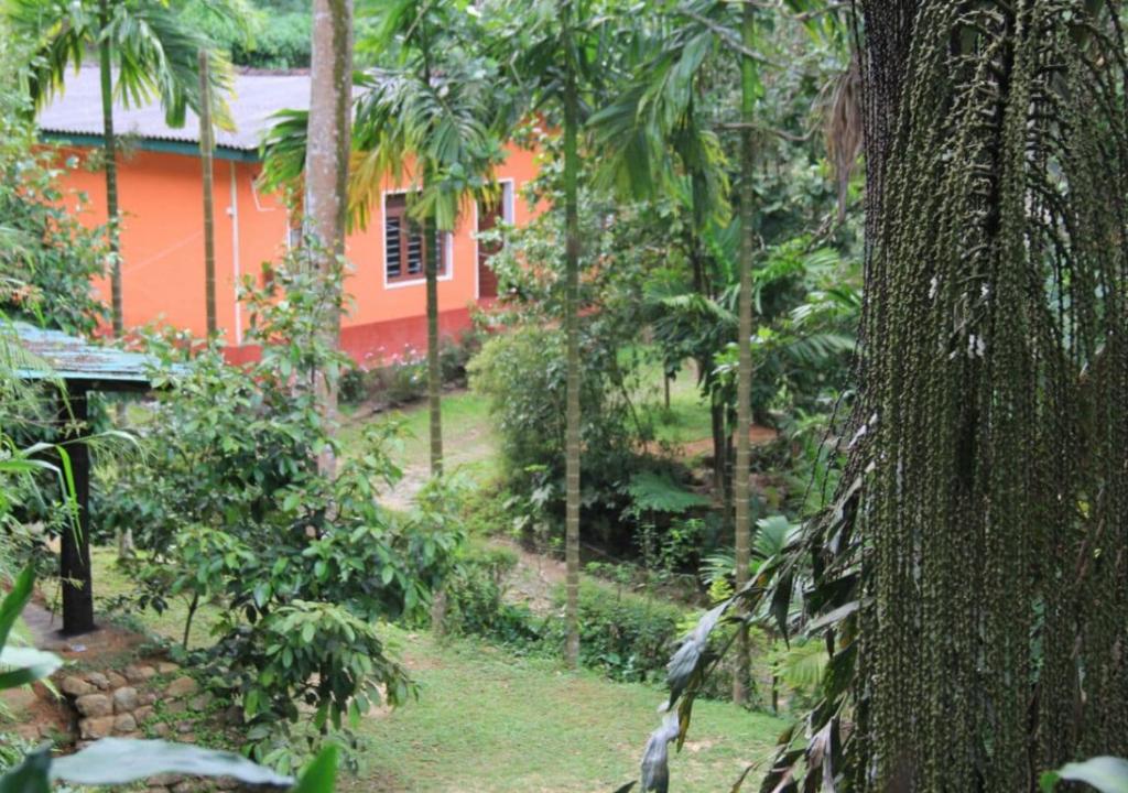 an orange house in the middle of a forest at Sembuwatta Reach Homestay in Elkaduwa