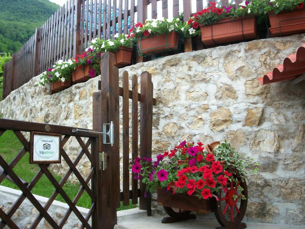 Zahrada ubytování Hermitage Holidays