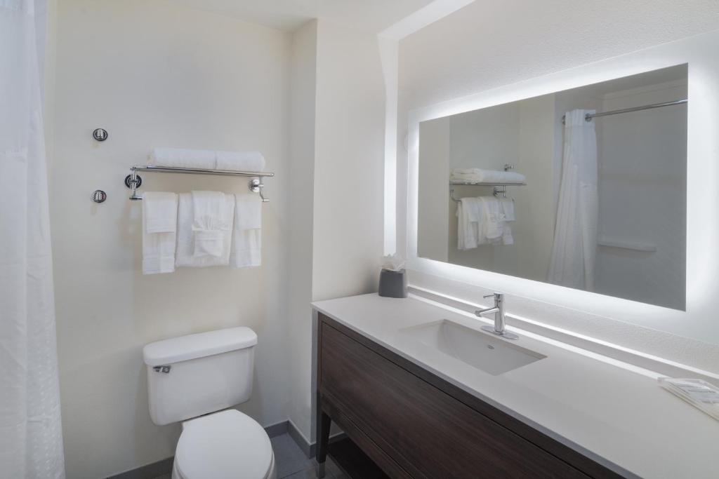 Holiday Inn Southaven Central - Memphis, an IHG Hotel - Chambre Premium King - Étage Supérieur