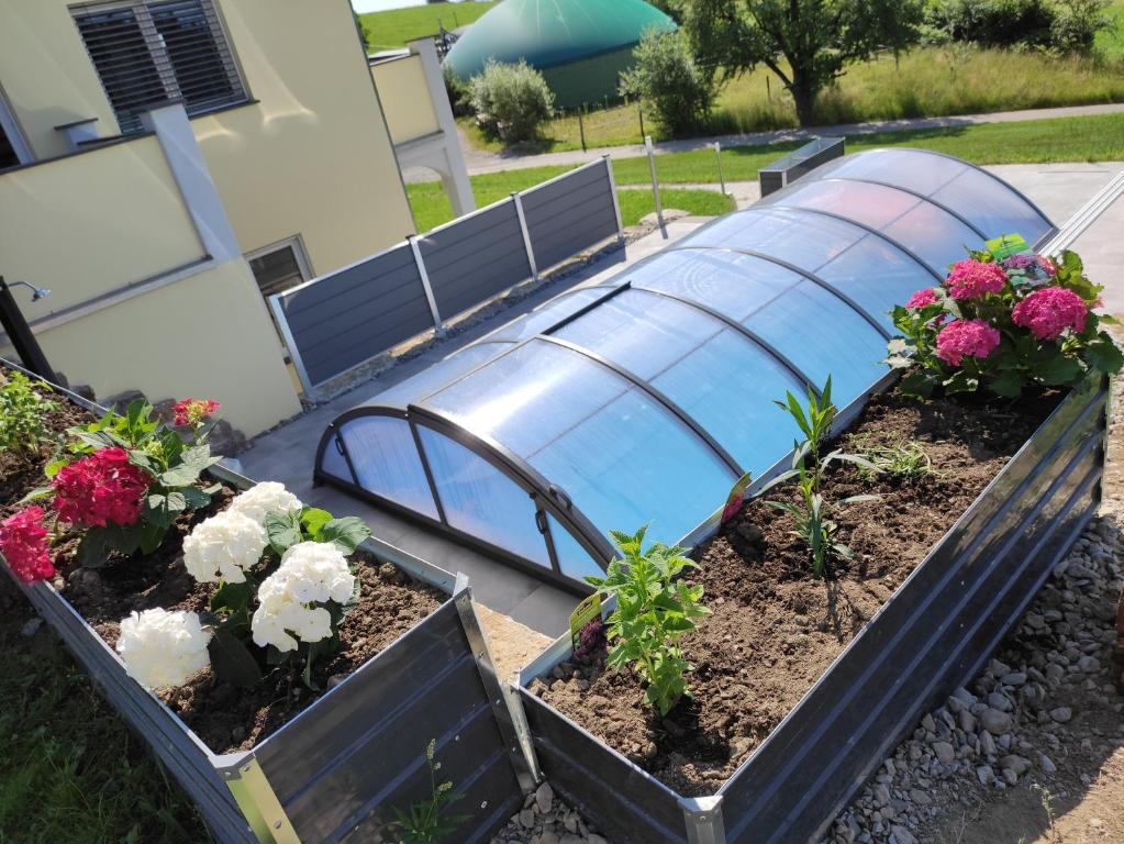 two containers filled with flowers in a garden at Ferienhof Broger FeWo Bergblickle mit Pool in Neukirch