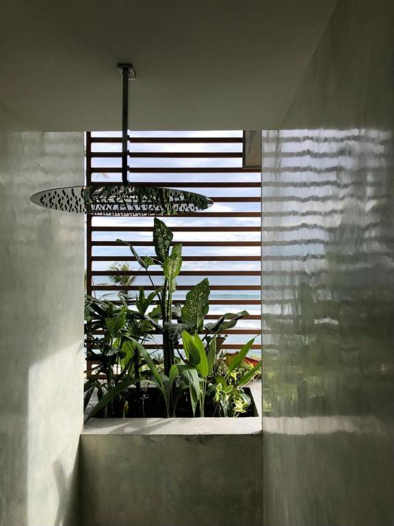 Harding Boutique Hotel - 18