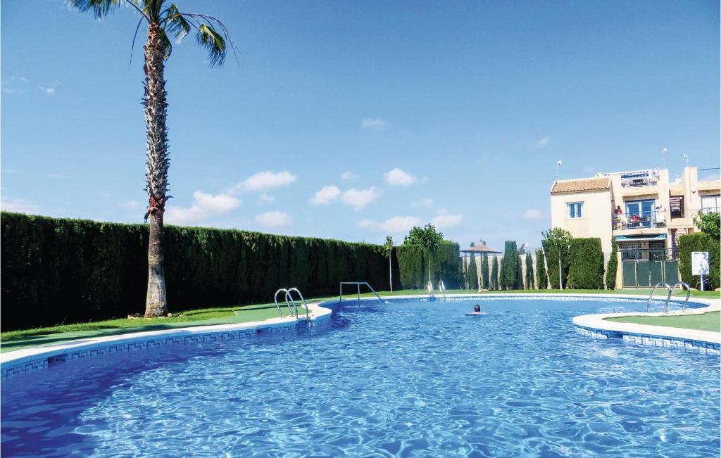 トレビエハにあるStunning Apartment In Torrevieja With Wifi, Outdoor Swimming Pool And Swimming Poolのヤシの木と建物のある大型スイミングプール