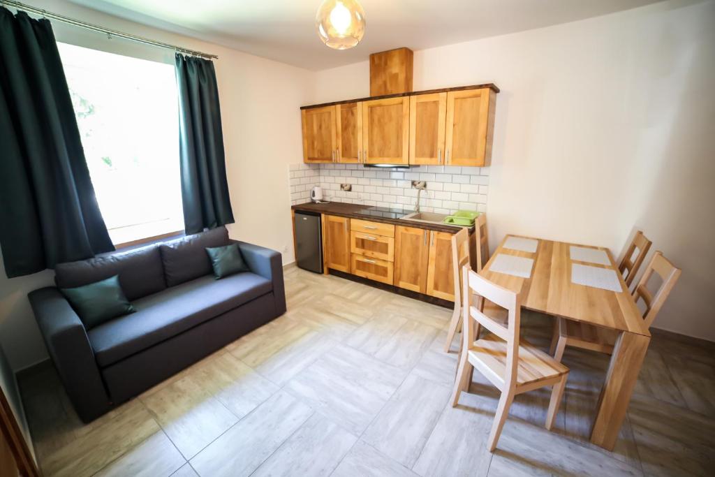 Apartamenty Willa Wądołowski - 16