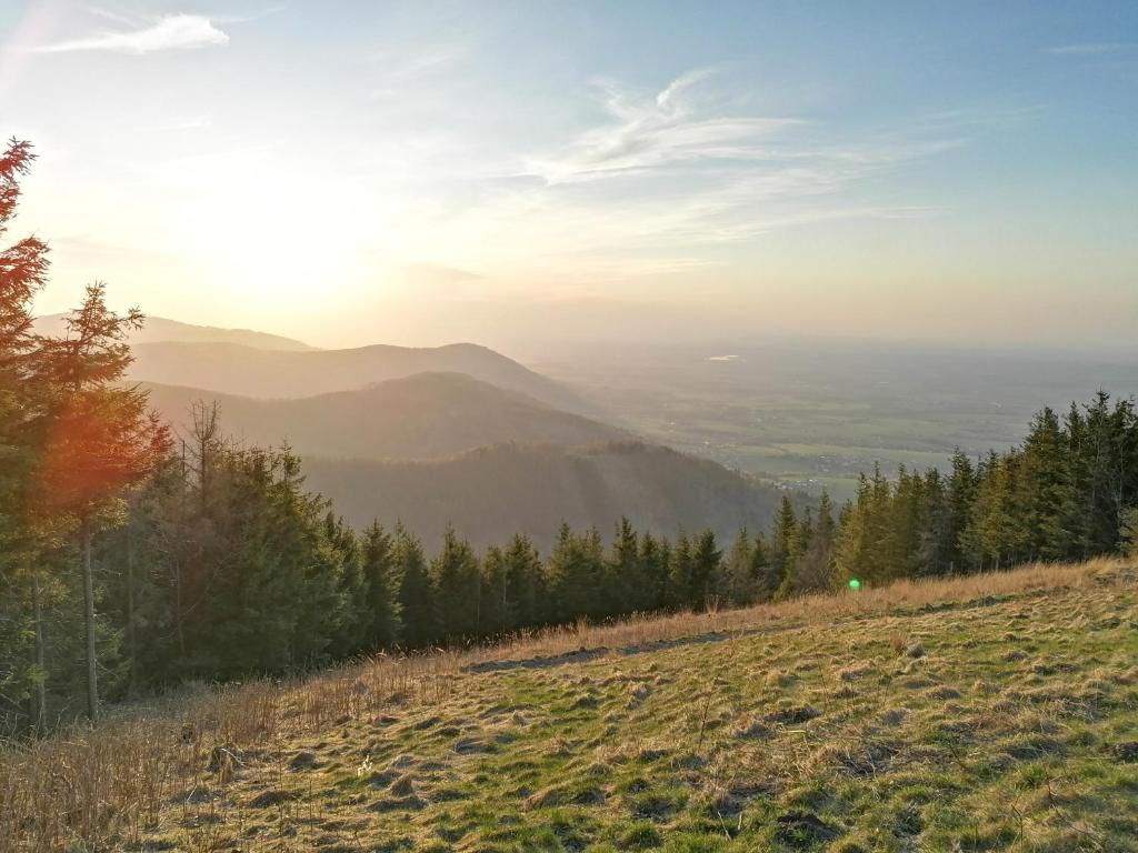 Příroda nedaleko apartmánu