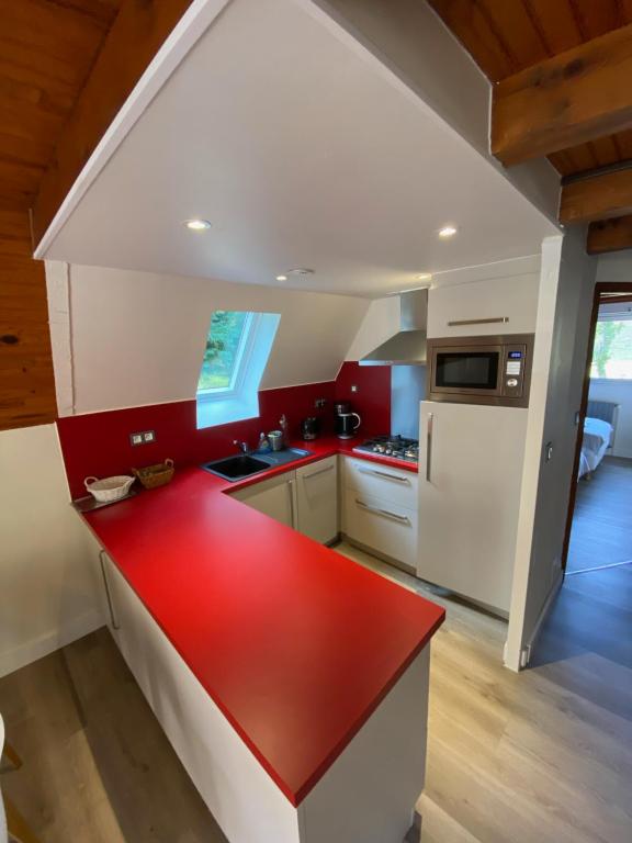 Kuchyň nebo kuchyňský kout v ubytování Hotel Le Chalet