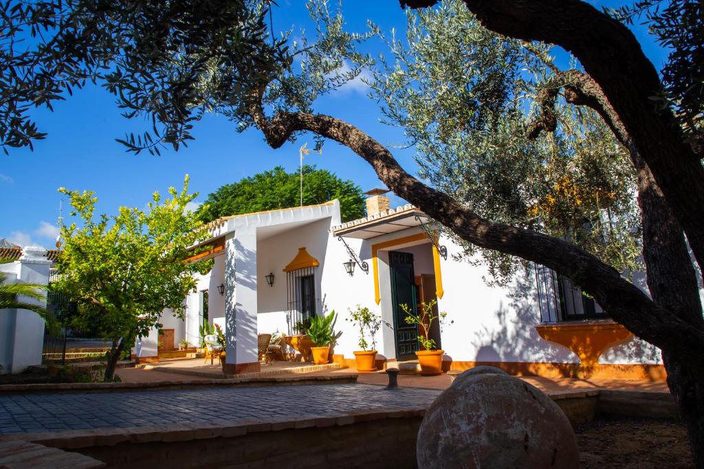 El Molino del Huertezuelo, La Palma del Condado – Bijgewerkte ...