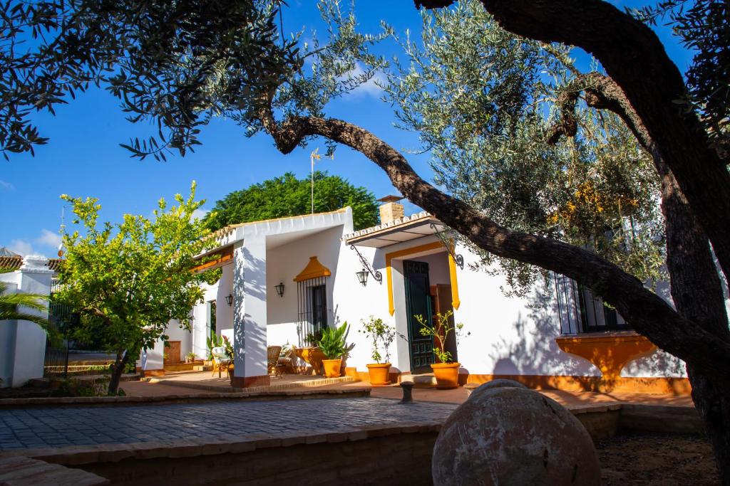 una casa blanca con un árbol en primer plano en El Molino del Huertezuelo, en La Palma del Condado