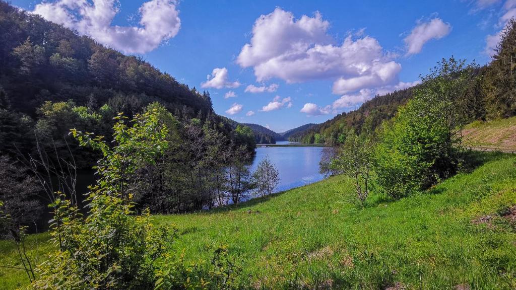 a view of a lake in a valley with trees at Familien-Hotel Am Tränkbachtal Frauenwald in Frauenwald