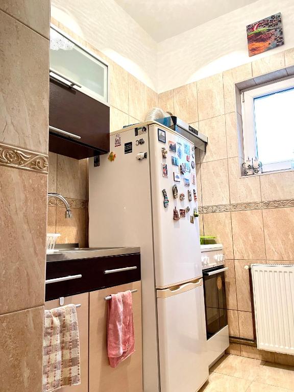 Kuchyň nebo kuchyňský kout v ubytování Mosaico Alfetta Hostel