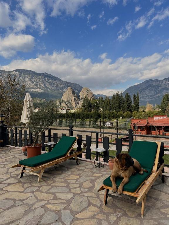 Nespecifikovaný výhled na hory nebo výhled na hory při pohledu z hotelu
