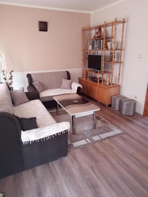 a living room with a couch and a coffee table at Apartman Dunja 2 in Bajina Bašta