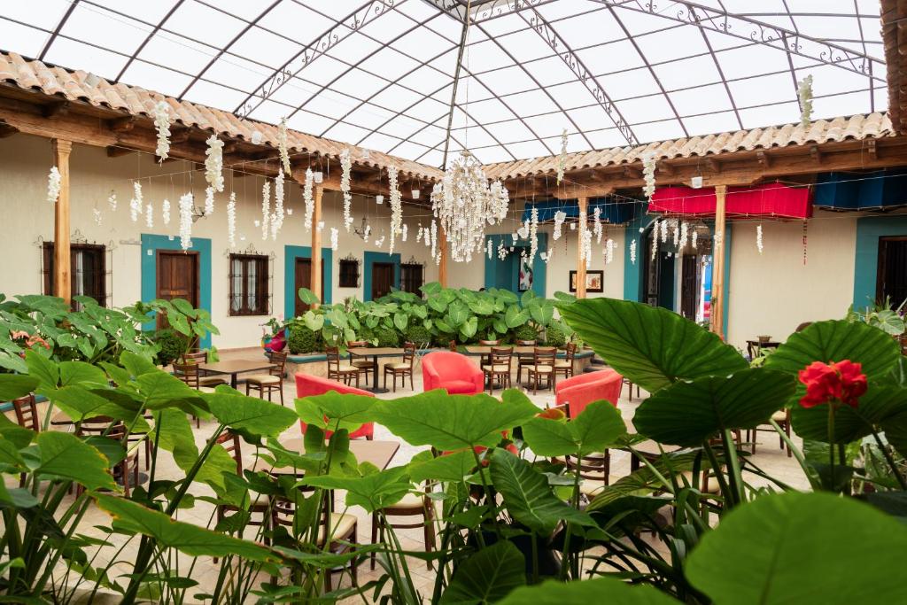 Zahrada ubytování Gran Hotel El Encanto