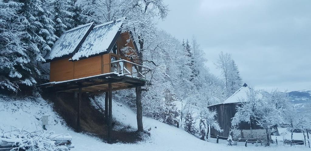 Tree house - Tara Place v zimě