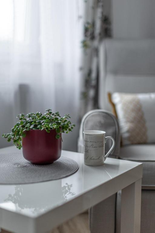 APARTAMENTY "LA VILLA" z narciarnią, prywatnym parkingiem, klimatyzacją, ogrodem, blisko centrum - 12