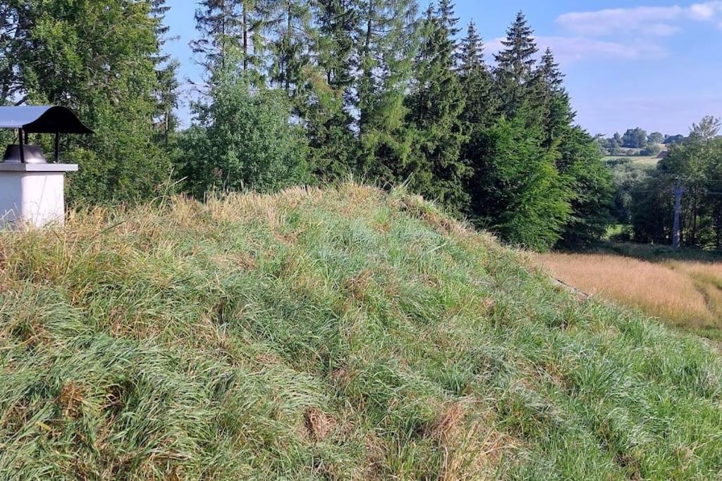 Fotografie z fotogalerie ubytování CHALET BORŮVKA - biofarma na samotě v lesích v destinaci Pavlov