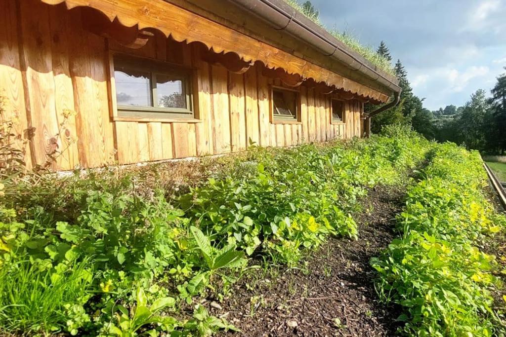 Fotografie z fotogalerie ubytování CHALET BORŮVKA - biofarma na samotě v lesích v destinaci Pavlov