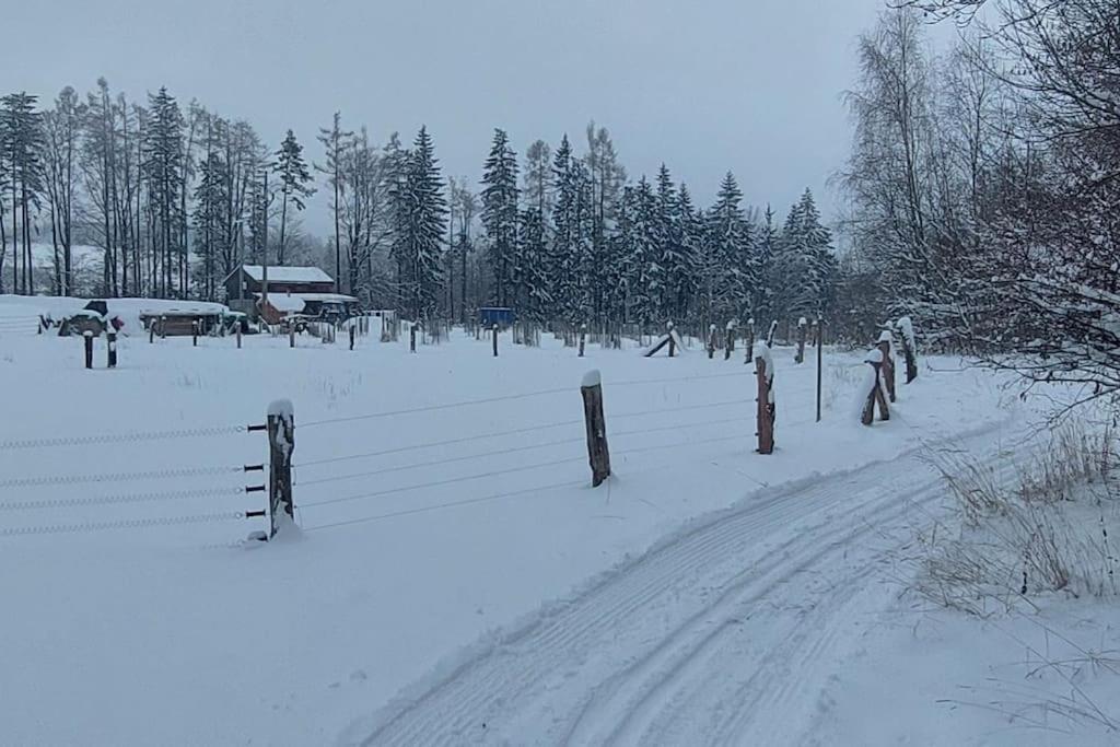 Fotografie z fotogalerie ubytování CHALET BORŮVKA - biofarma na samotě v lesích v destinaci Pavlov