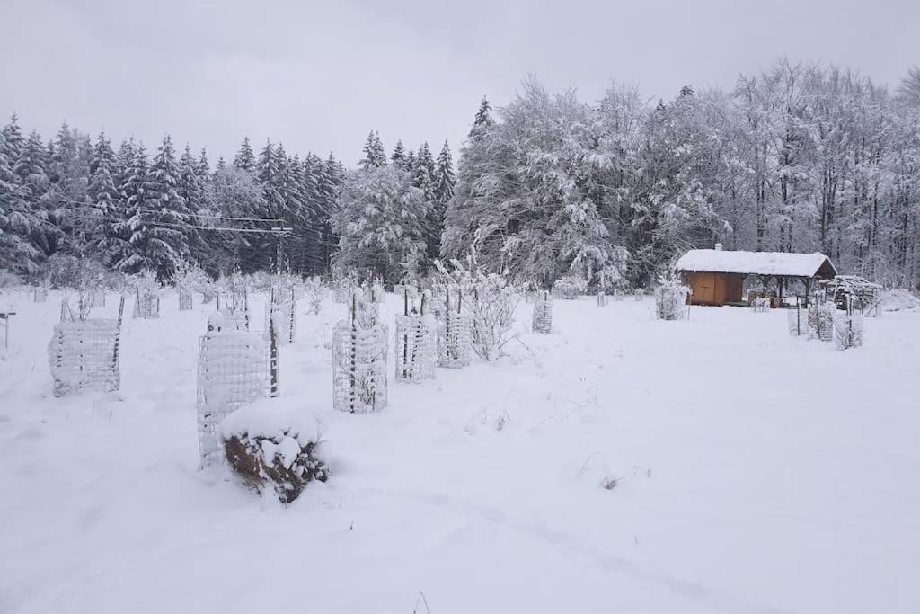 Fotografie z fotogalerie ubytování CHALET BORŮVKA - biofarma na samotě v lesích v destinaci Pavlov