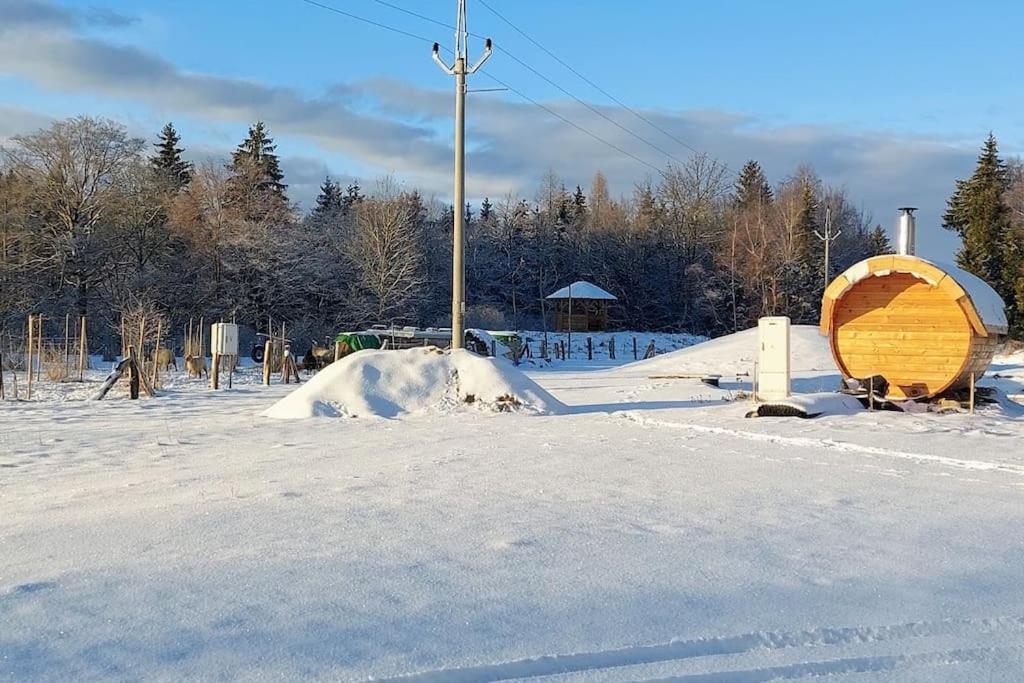 Fotografie z fotogalerie ubytování CHALET BORŮVKA - biofarma na samotě v lesích v destinaci Pavlov