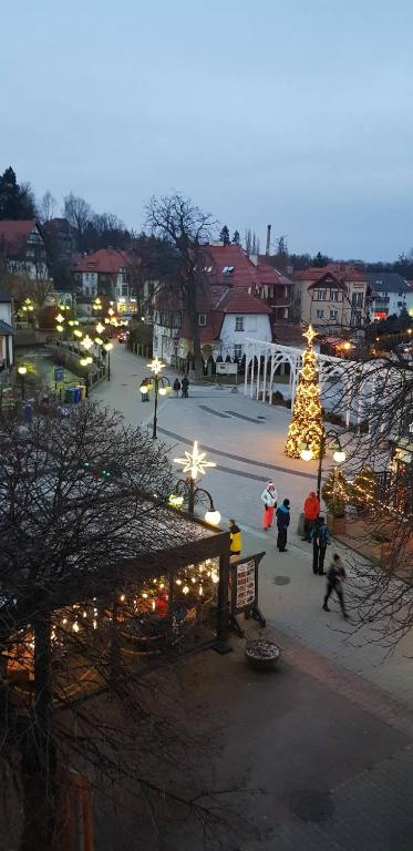 Hostia v ubytovaní Biały apartament