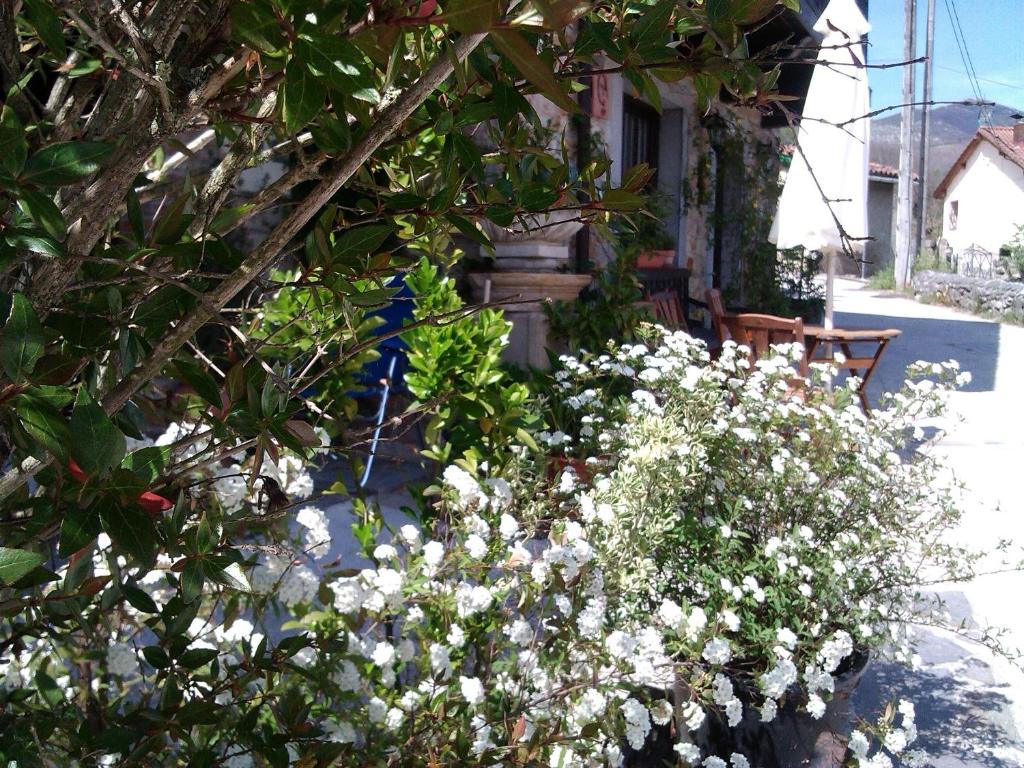 A garden outside Casa de Aldea El Torrexon