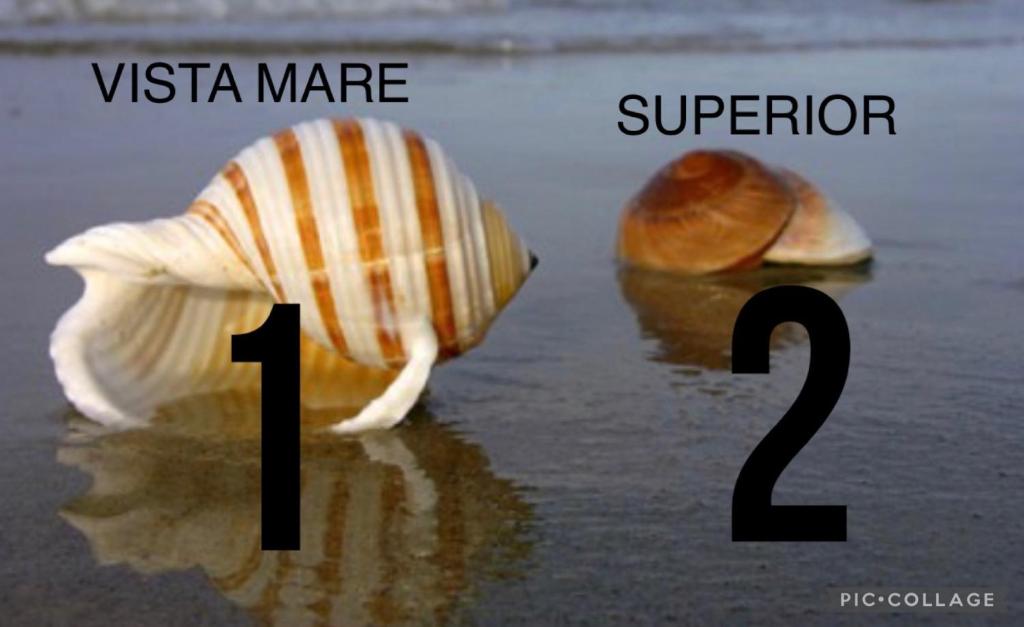 a picture of a sea shell in the water at LA CONCHIGLIA A MARINA in Marina di Carrara
