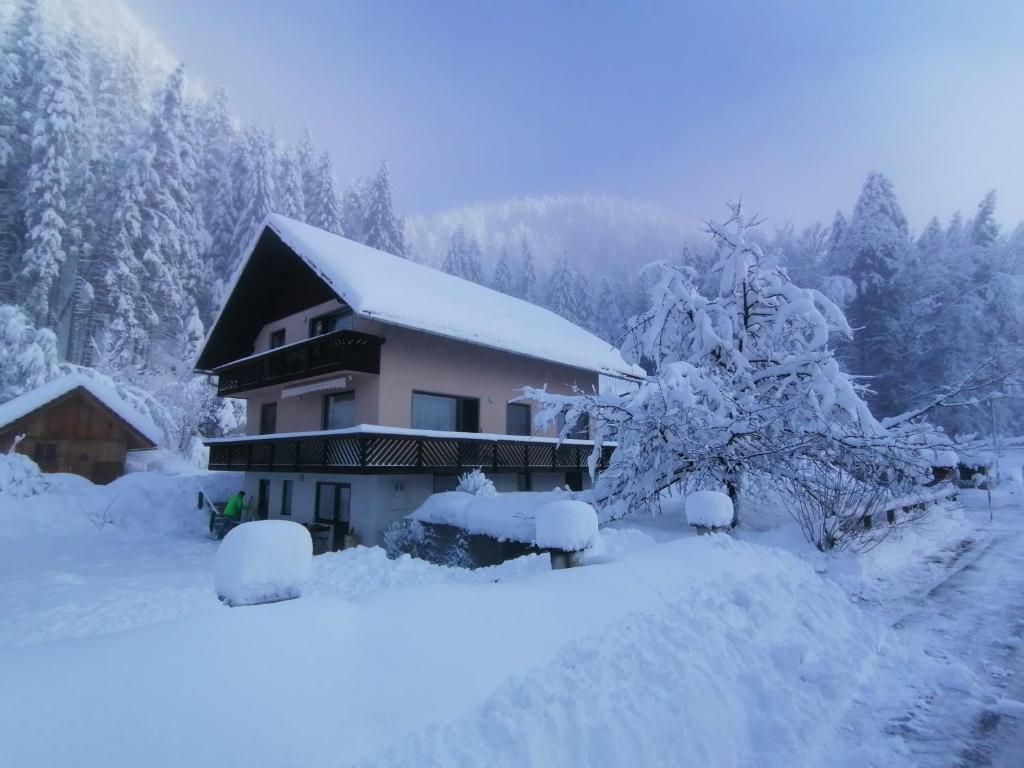 a house covered in snow with trees in the background at Apartments Mertelj in Kranjska Gora