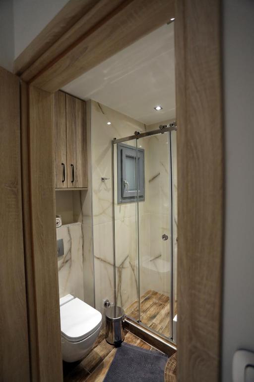W łazience znajduje się toaleta i przeszklony prysznic. w obiekcie LA Larissa Luxury Apartments Trekke w mieście Larisa