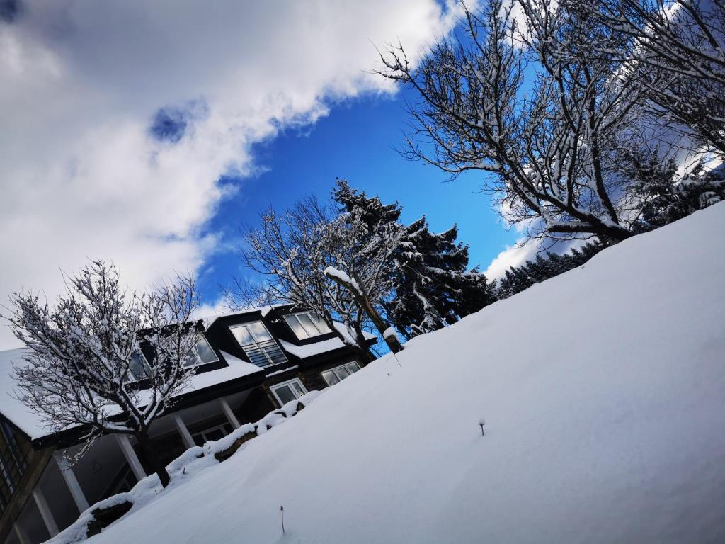 pokryty śniegiem dziedziniec z drzewami i dom w obiekcie Doinita House w mieście Borşa