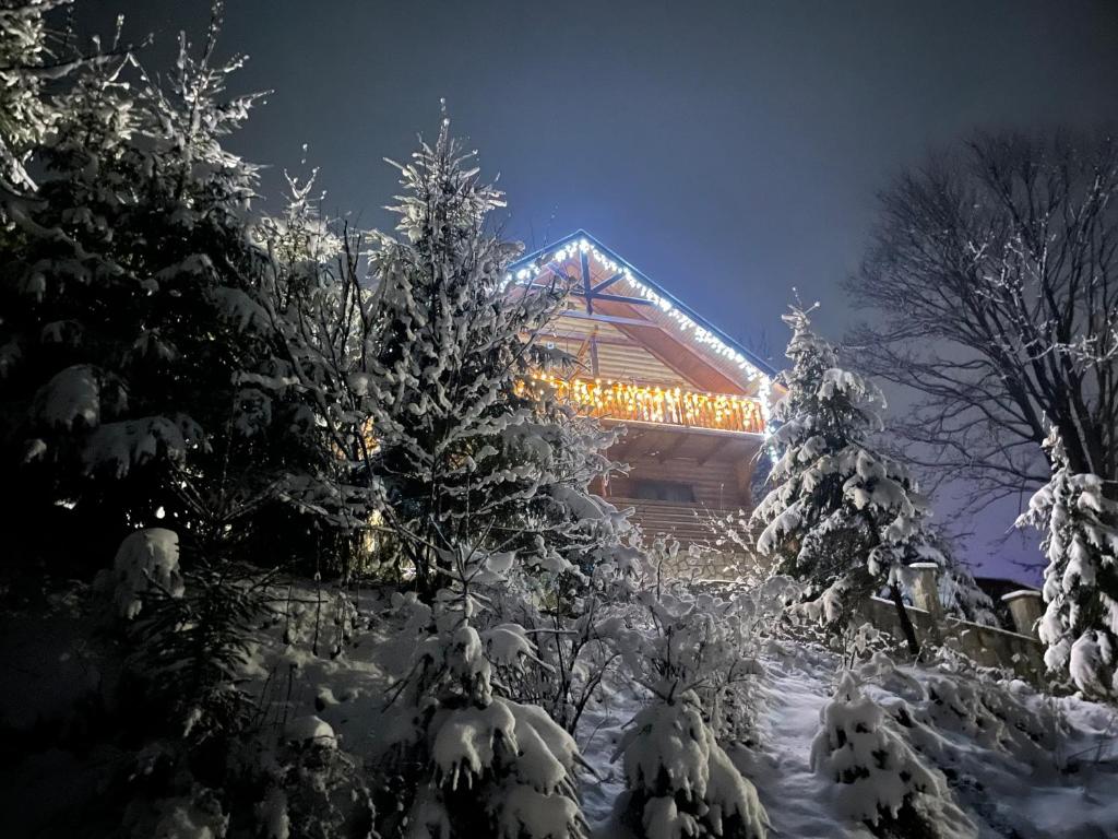 Villa PidStromom v zimě