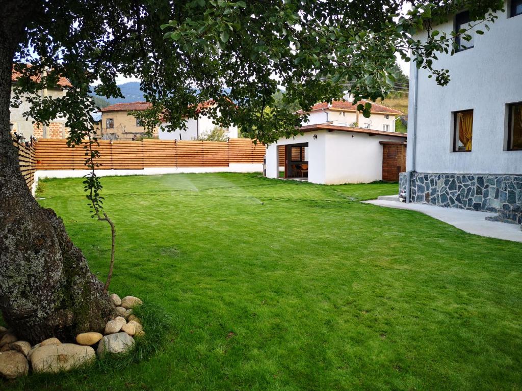 un cortile verde con un albero e una casa di Algarte Guest House a Madzhare