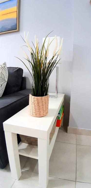 Posezení v ubytování Cozy apartament in the heart of Santa Cruz