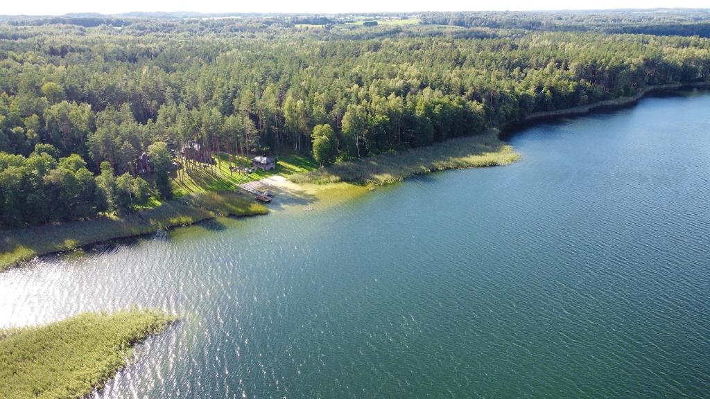 an aerial view of a large river with trees at Vila Tauragnas in Varniškės I