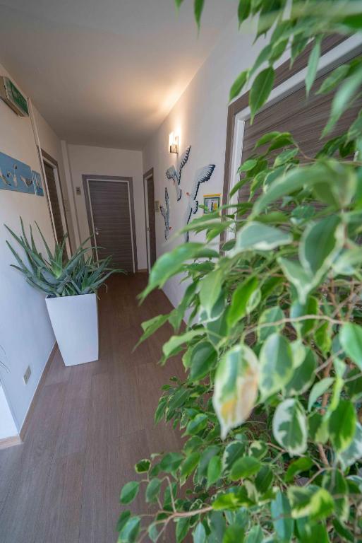 Fotografie z fotogalerie ubytování Hotel Cairoli v Janově