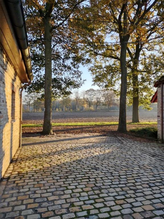 a brick walkway with trees in a park at Dielpenhof in Zedelgem