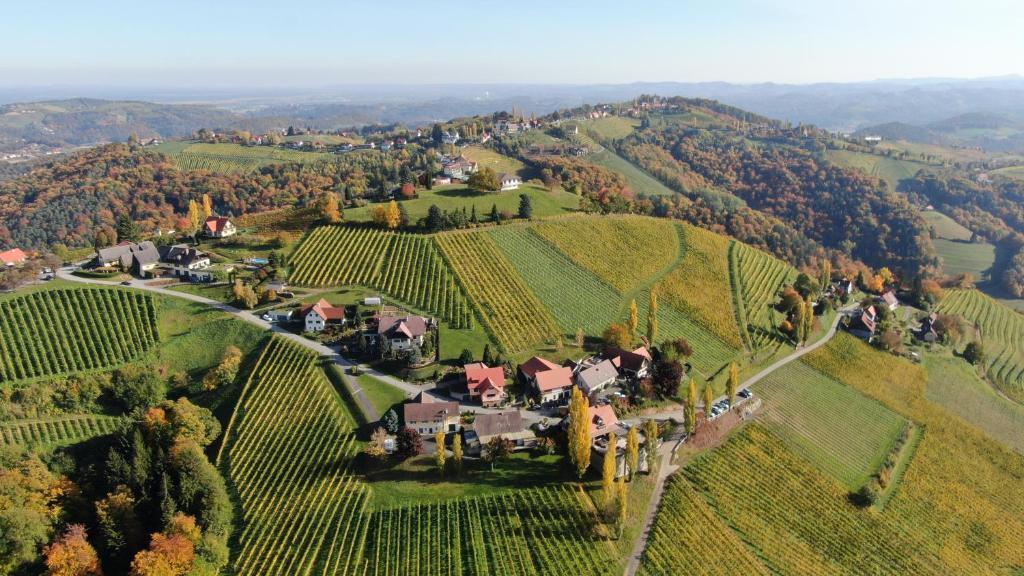 eine Luftansicht eines Hauses auf einem Weinberg in der Unterkunft Gästehaus Kaiser in Kitzeck im Sausal