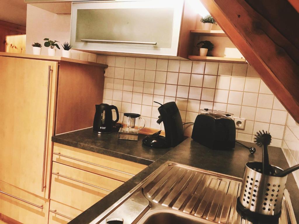 uma cozinha com um lavatório e uma bancada em Apartment DOMO Kirchzarten em Kirchzarten