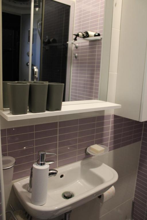 Koupelna v ubytování Studio apartman Hinko