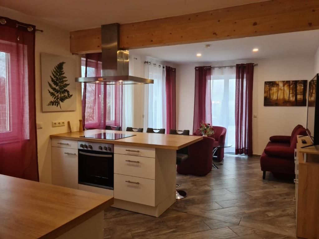 uma cozinha com um fogão e uma bancada em Apartment Gästehaus Staudenschloß em Mickhausen