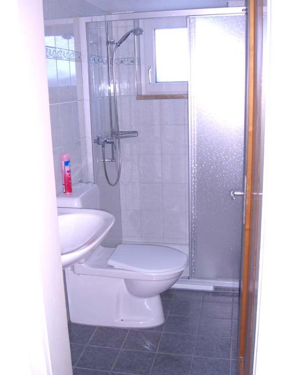 Kopalnica v nastanitvi Ferienwohnung Tschudiboden
