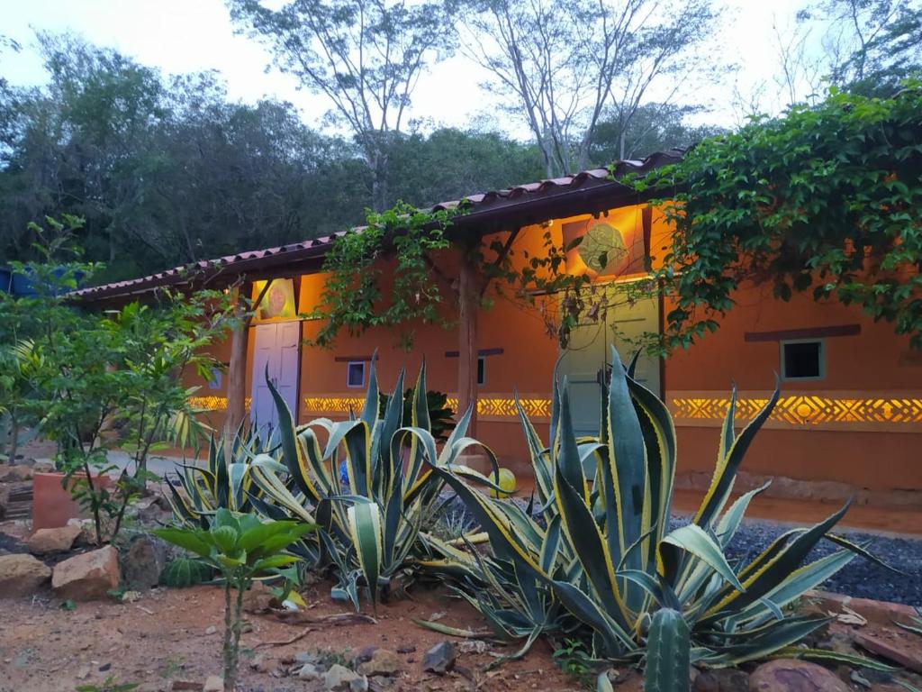 NOMAD Hostal - Barichara في باريكارا: بيت برتقال أمامه نباتات