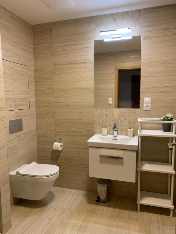 W łazience znajduje się toaleta, umywalka i lustro. w obiekcie Apartmán s vyhlídkou w mieście Horní Maršov